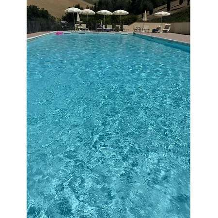 Italian Experience-serafini